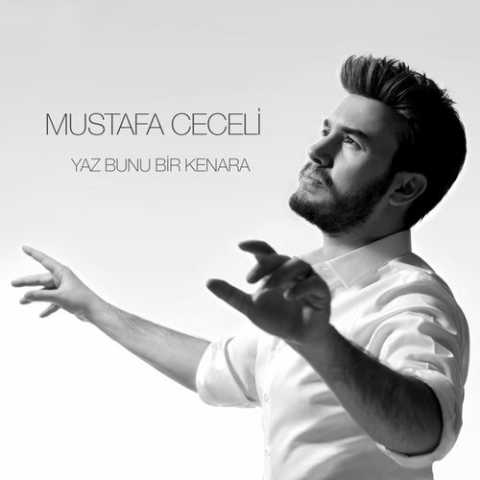 Mustafa Ceceli Yaz Bunu Bir Kenara